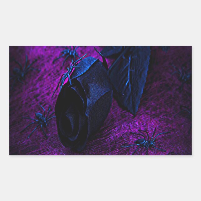 Adesivo Retangular Rosa de Material Negro Spooky, Aranhas Negras (Frente)