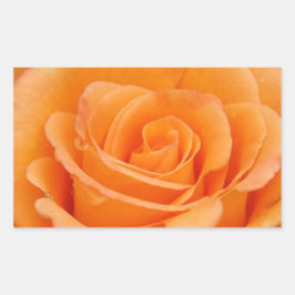 Adesivo Retangular Rosa laranja