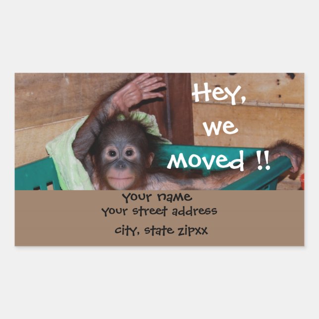 Adesivo Retangular Rótulos de endereço para animais de barbatana (Frente)