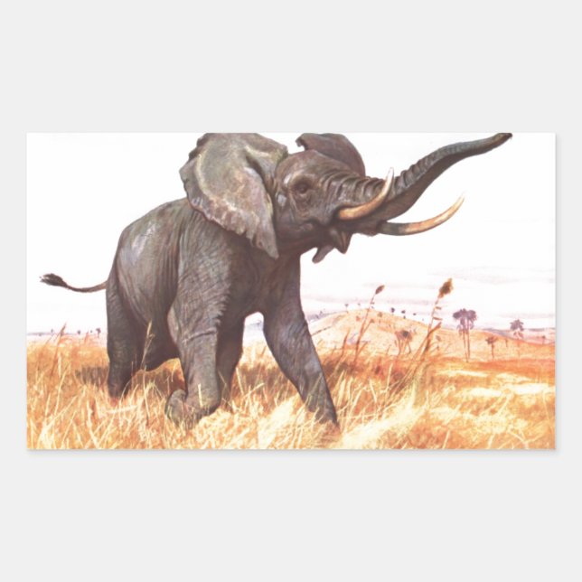 Adesivo Retangular Safari African Jungle Destinants Elephants (Frente)