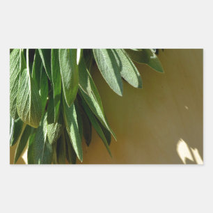 Adesivo Retangular Sage fresco