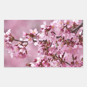 Adesivo Retangular Sakura Cherry Blossoms Pastel Pink Camadas