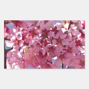 Adesivo Retangular Sakura Cherry Blossoms Red Stars