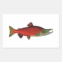 Adesivo Retangular Salmão Vermelho (fase de desova)