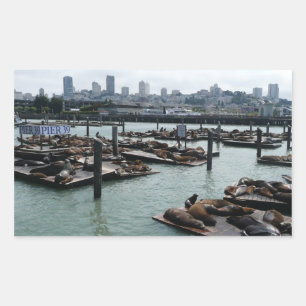 Adesivo Retangular São Francisco e Pier 39 Sea Lions City Skyline