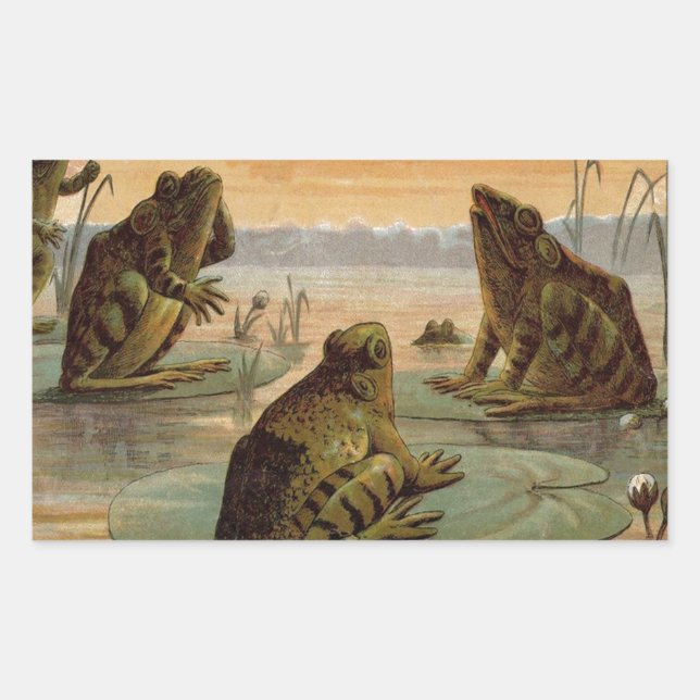 Adesivo Retangular Sapos Lily Pads Ilustração da Lua (Frente)