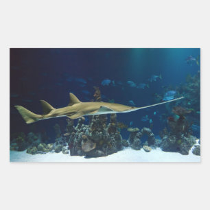 Adesivo Retangular Sawfish impressionante