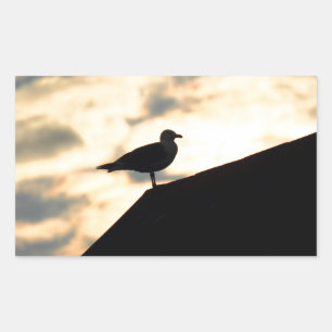Adesivo Retangular Sea Gull Sunset