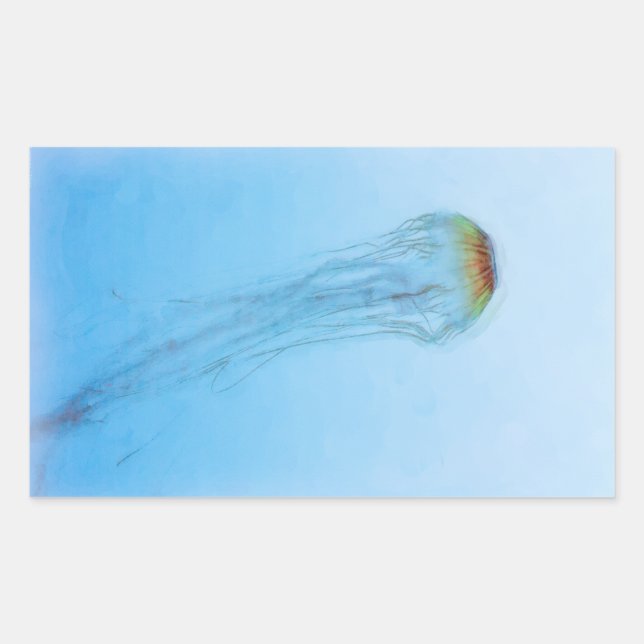 Adesivo Retangular Sea Nettle (Frente)