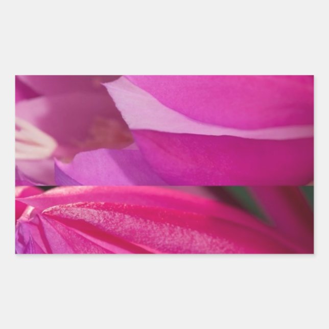 Adesivo Retangular Sedução Rosa Perfeita: Corações Românticos Flores (Frente)