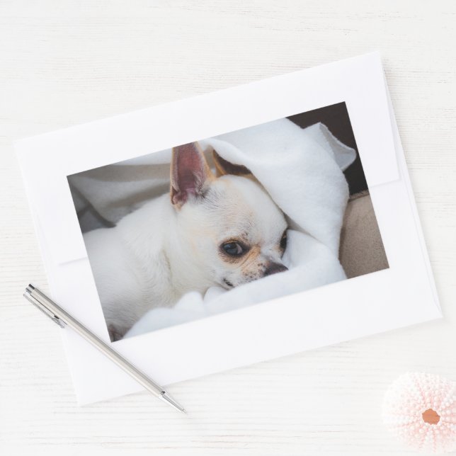 Adesivo Retangular Seu cachorrinho de estimação foto personalizada ch (Envelope)