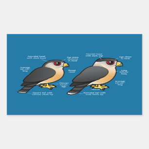 Adesivo Retangular Sharpie da capoeira v