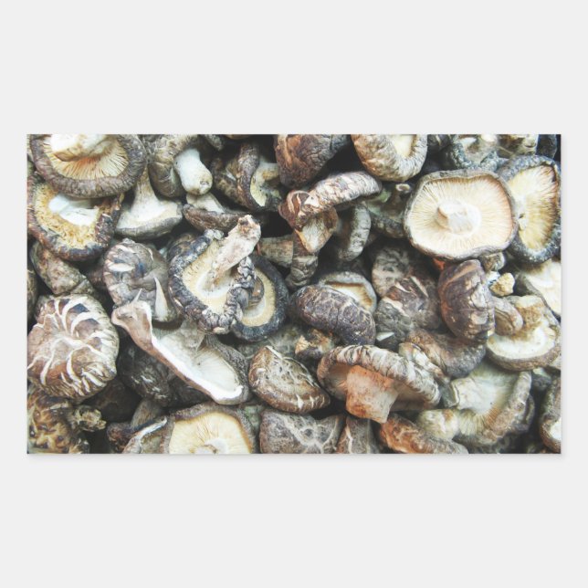 Adesivo Retangular Shiitake Mushroom (Frente)