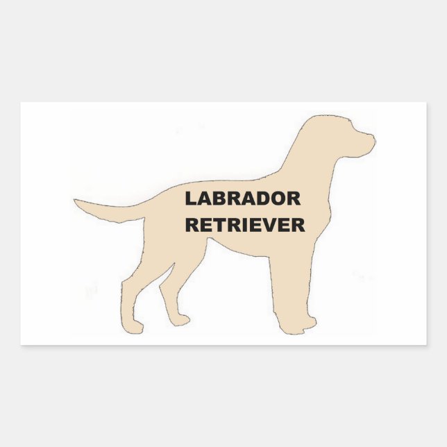 Adesivo Retangular Silhouette de nome amarelo LR (Frente)