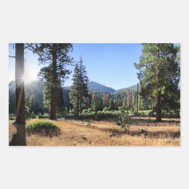 Adesivo Retangular Simpson Meadow - Sierra (Frente)