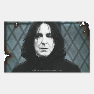 Adesivo Retangular Snape 1