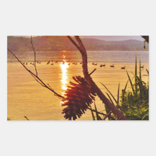 Adesivo Retangular Sol do Lago Pinecone