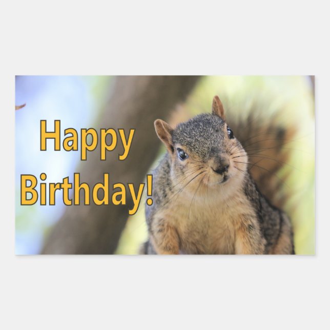 Adesivo Retangular Sr. Squirrel desejando um feliz aniversário (Frente)