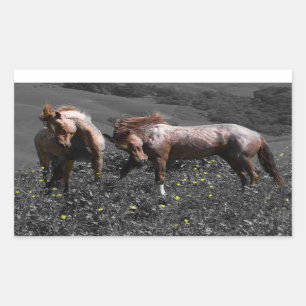 Adesivo Retangular Stallion Spar