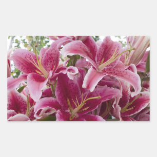 Adesivo Retangular Stargazer Lily