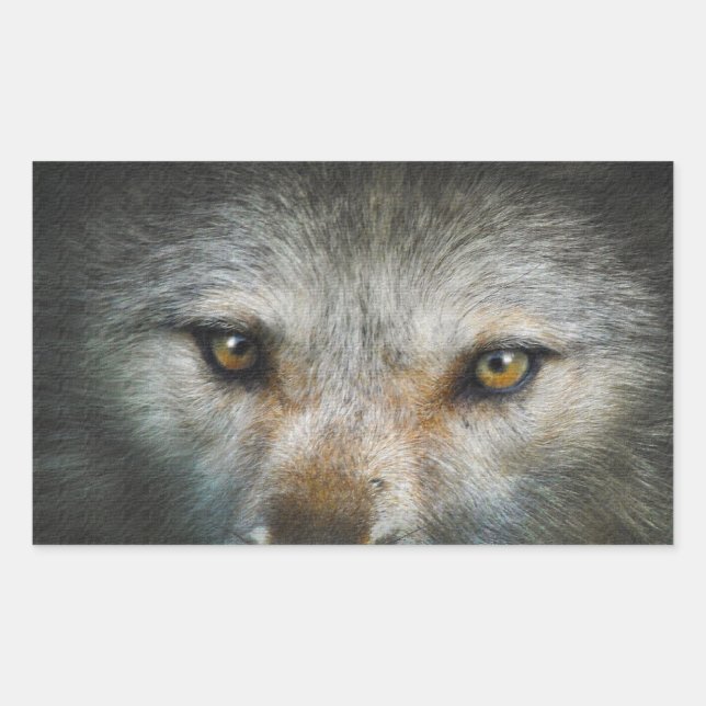 Adesivo Retangular Staring Cinza Wolf Eyes Wildlife Art (Frente)