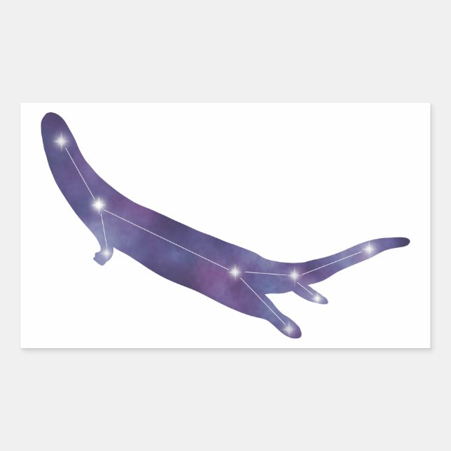 Adesivo Retangular Sticker Constelante do Rio Otter (Frente)