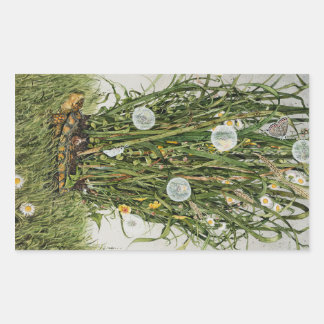 Adesivo Retangular Stray Sod