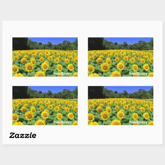 Adesivo Retangular Sunflower：Rectangle Seal (Folha)