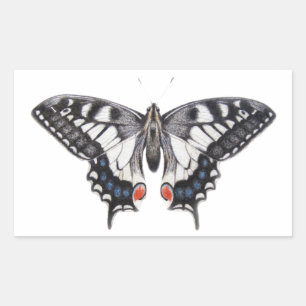 Adesivo Retangular Swallowtail 2012
