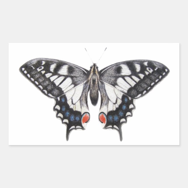 Adesivo Retangular Swallowtail 2012 (Frente)