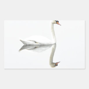 Adesivo Retangular Swan