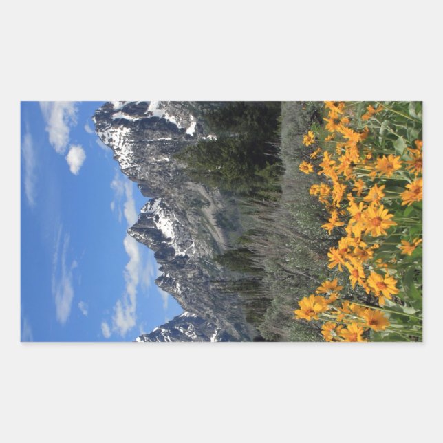 Adesivo Retangular Tetons grande com flores amarelas (Frente)
