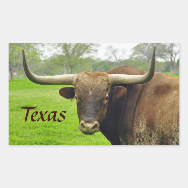 Adesivo Retangular Texas Longhorn "Texas" Sticker (Frente)