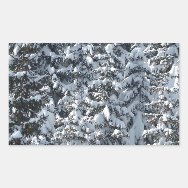 Adesivo Retangular Textura de árvore de abertura de neve (Frente)