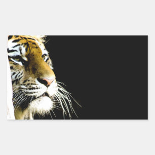 Adesivo Retangular Tigre