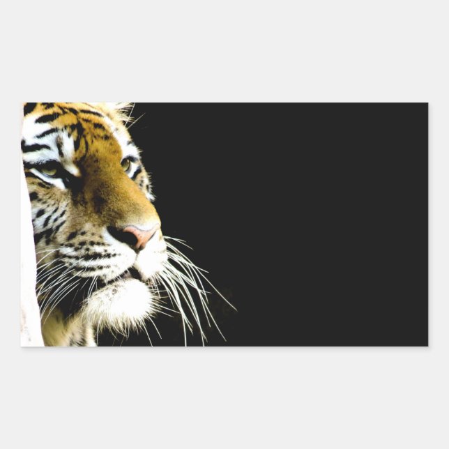 Adesivo Retangular Tigre (Frente)