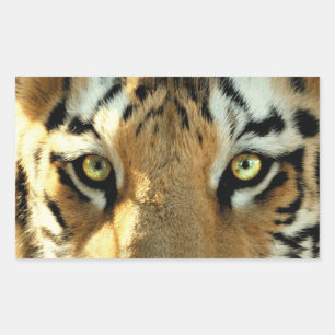 Adesivo Retangular Tigre 1 - Vinheta