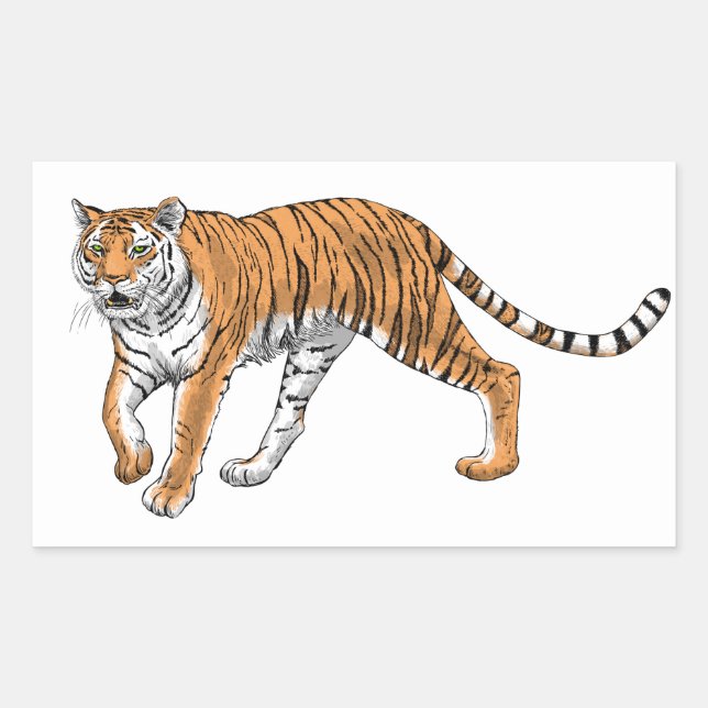 Adesivo Retangular Tigre 2 (Frente)