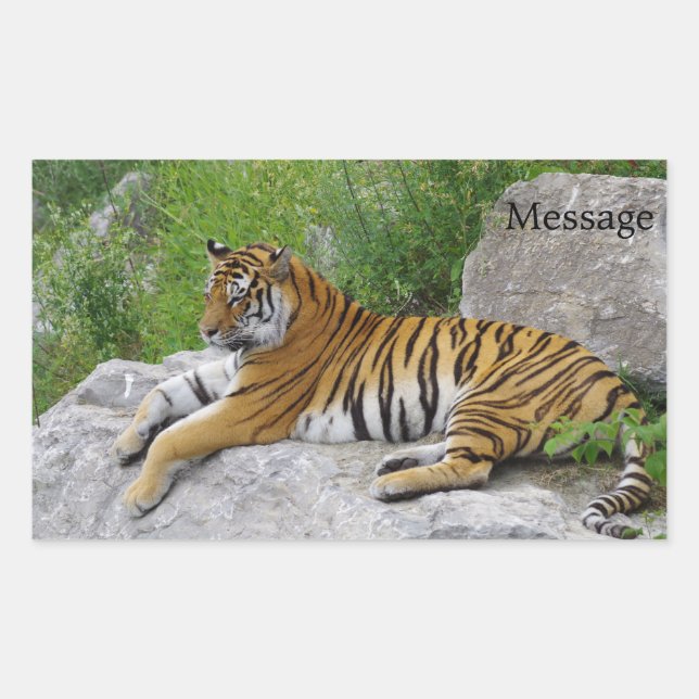 Adesivo Retangular Tigre Siberiano Relaxando em uma Rocha (Frente)
