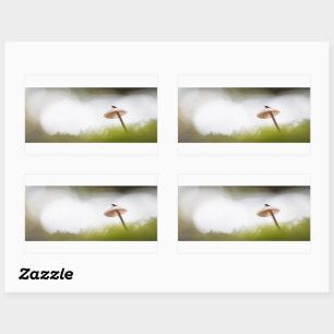 Adesivo Retangular Tiny Mushroom Nature Foto
