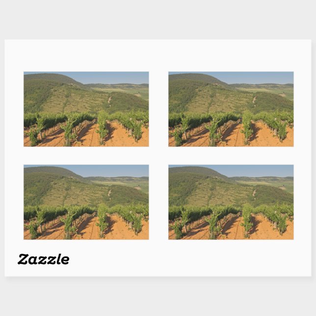 Adesivo Retangular Tokaj vineyards, Hungria (Folha)