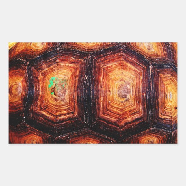 Adesivo Retangular Tortoisinferno (Frente)