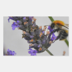 Adesivo Retangular Trabalhadores Maravilhosos da Natures