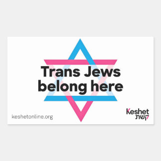 Adesivo Retangular Trans Jews Belong Here sticker