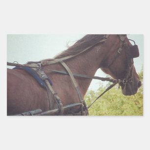 Adesivo Retangular Transporte puxado a cavalo