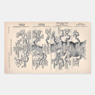 Adesivo Retangular "Tree of Life" - Ilustração 1859 de Ernst Haecke