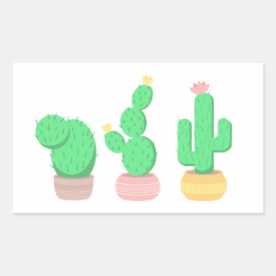 Adesivo Retangular Trio de Cactus Deserto Moderno Boho
