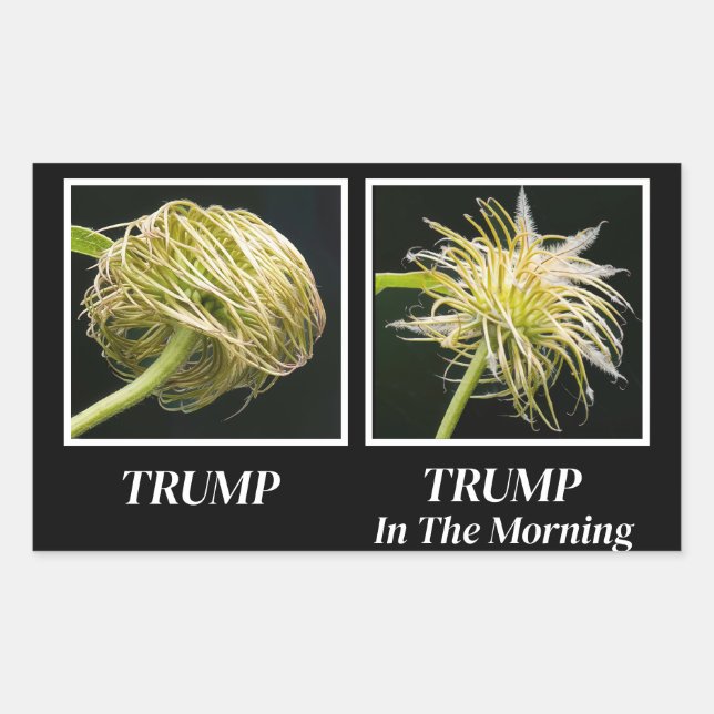 Adesivo Retangular Trump Hair (Frente)