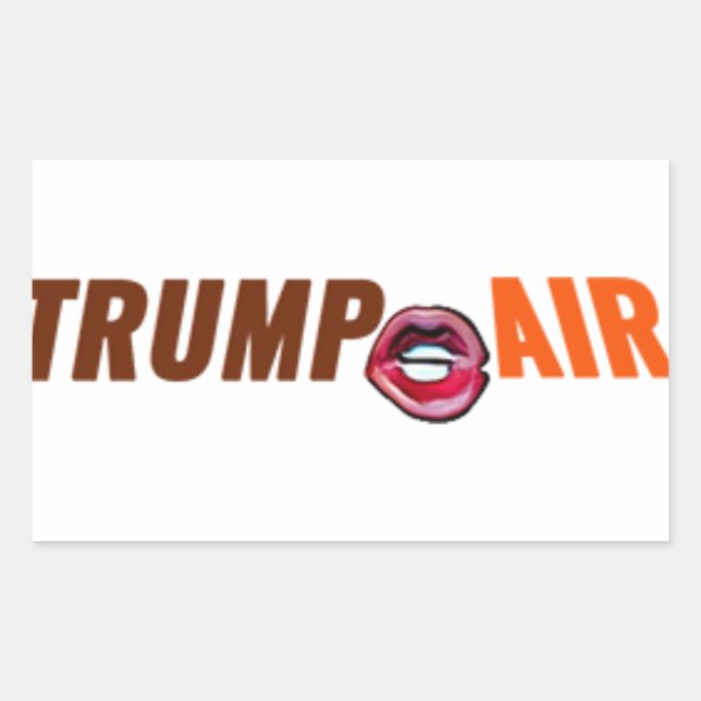 Adesivo Retangular Trump Hot Air Cartoon Clear (Frente)