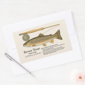 Adesivo Retangular Truta-marrom (Salmo trutta) – Ilustr. Inglesa